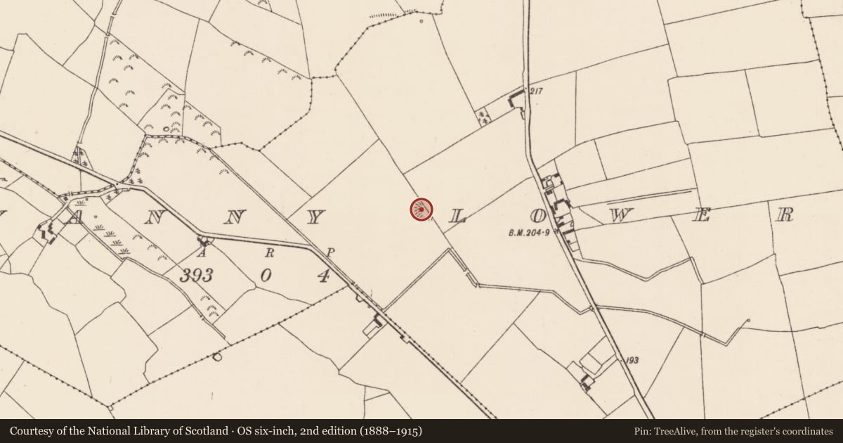Ordnance Survey six-inch map, 2nd edition (1888–1915) covering the location of Barrow - mound barrow, Ballyanny Lower, County Tipperary North, with a pin at the register's coordinates