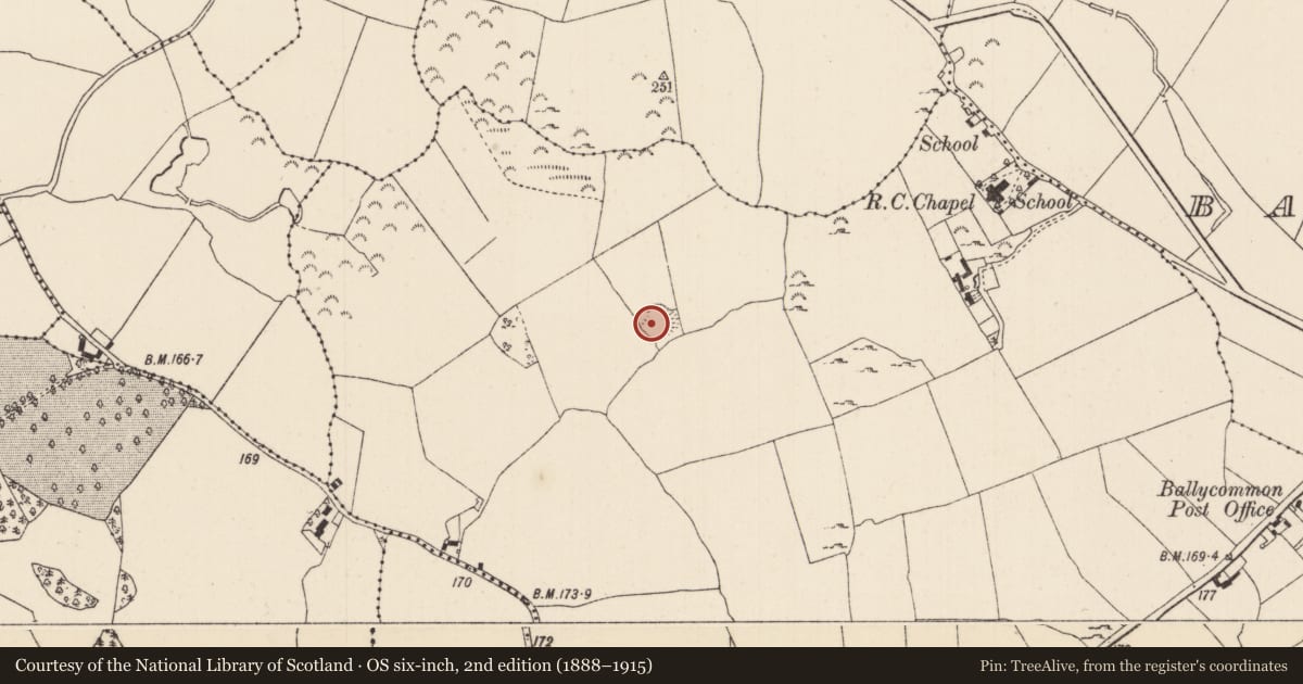 Ordnance Survey six-inch map, 2nd edition (1888–1915) covering the location of Ringfort - rath, Monsea, County Tipperary North, with a pin at the register's coordinates