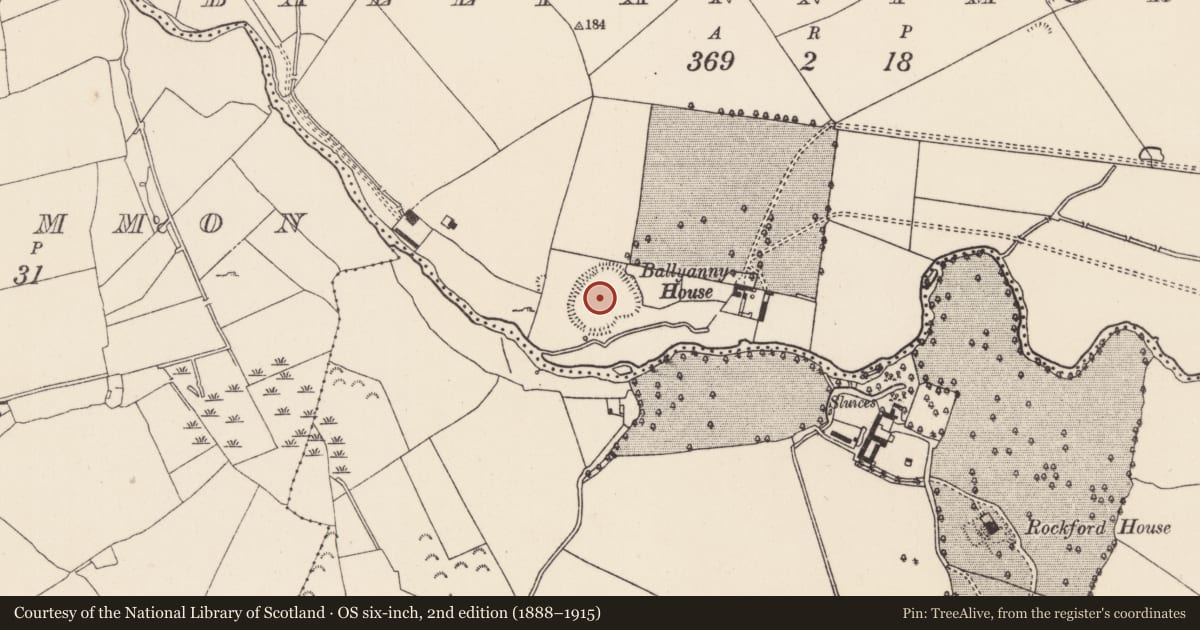 Ordnance Survey six-inch map, 2nd edition (1888–1915) covering the location of Water mill - unclassified, Ballyannymore, County Tipperary North, with a pin at the register's coordinates
