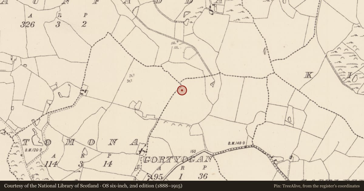 Ordnance Survey six-inch map, 2nd edition (1888–1915) covering the location of Earthwork, Gortyogan, County Tipperary North, with a pin at the register's coordinates