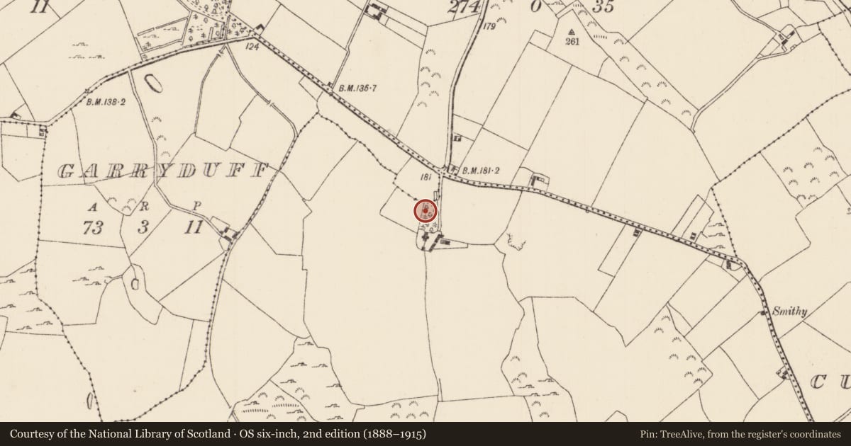 Ordnance Survey six-inch map, 2nd edition (1888–1915) covering the location of Castle - unclassified, Killaun, County Tipperary North, with a pin at the register's coordinates