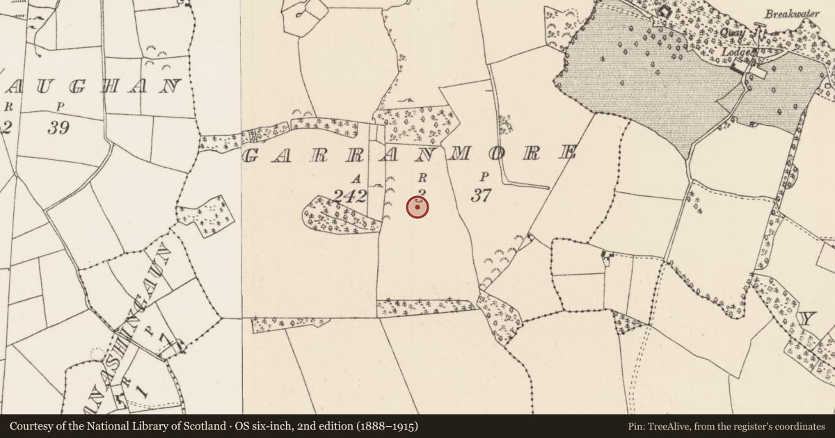 Ordnance Survey six-inch map, 2nd edition (1888–1915) covering the location of Bullaun stone, Garranmore (Youghalarra Par.), County Tipperary North, with a pin at the register's coordinates