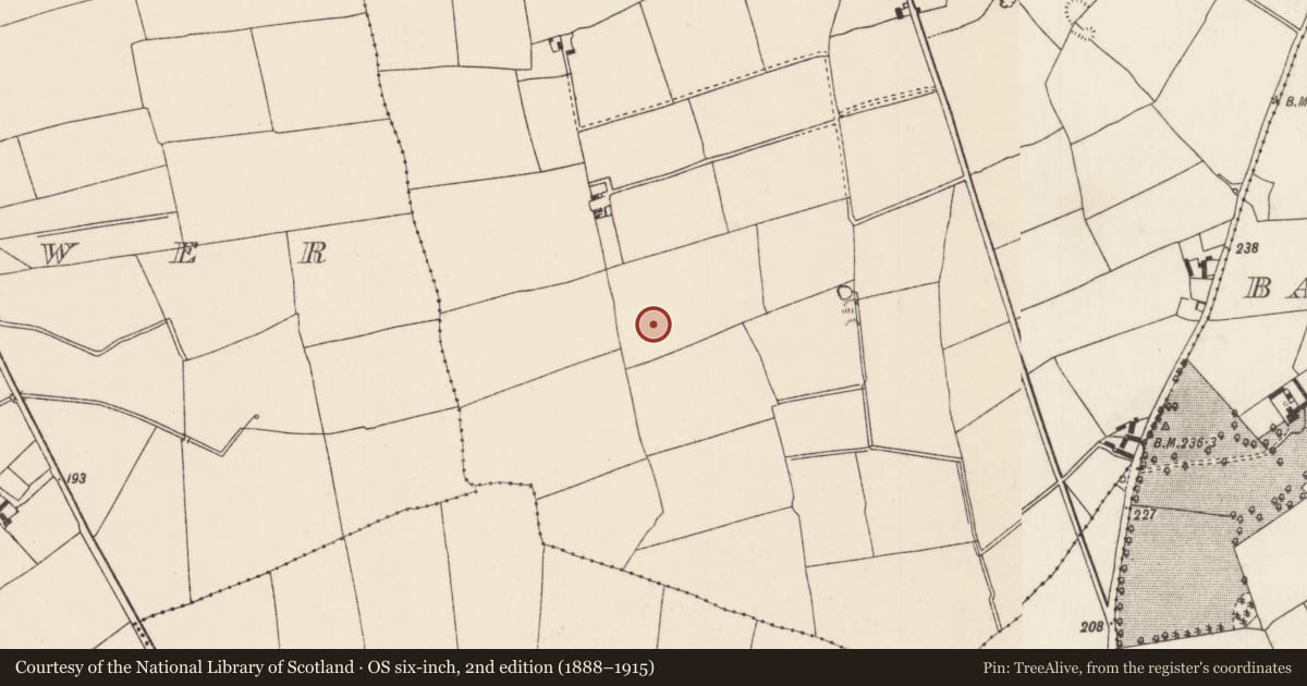 Ordnance Survey six-inch map, 2nd edition (1888–1915) covering the location of Enclosure, Loughourna, County Tipperary North, with a pin at the register's coordinates