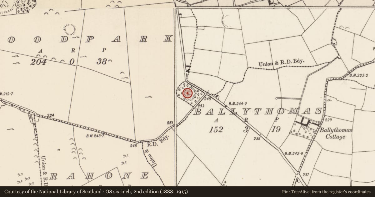 Ordnance Survey six-inch map, 2nd edition (1888–1915) covering the location of Ringfort - rath, Ballythomas, County Tipperary North, with a pin at the register's coordinates