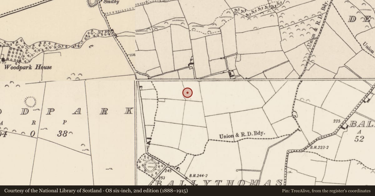 Ordnance Survey six-inch map, 2nd edition (1888–1915) covering the location of Ringfort - rath, Carneybeg, County Tipperary North, with a pin at the register's coordinates