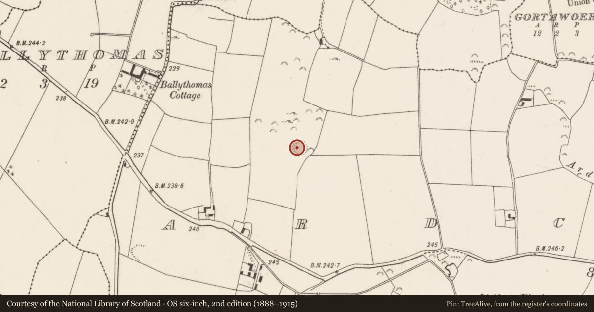 Ordnance Survey six-inch map, 2nd edition (1888–1915) covering the location of Ringfort - rath, Ardcrony, County Tipperary North, with a pin at the register's coordinates