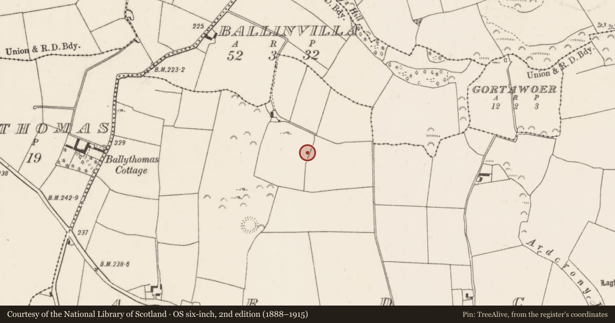 Ordnance Survey six-inch map, 2nd edition (1888–1915) covering the location of Ringfort - rath, Ardcrony, County Tipperary North, with a pin at the register's coordinates