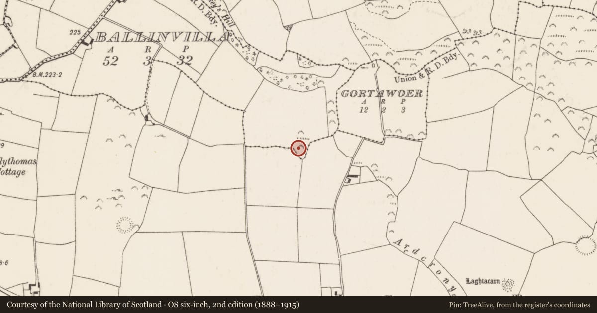 Ordnance Survey six-inch map, 2nd edition (1888–1915) covering the location of Ringfort - rath, Ballinvilla, County Tipperary North, with a pin at the register's coordinates