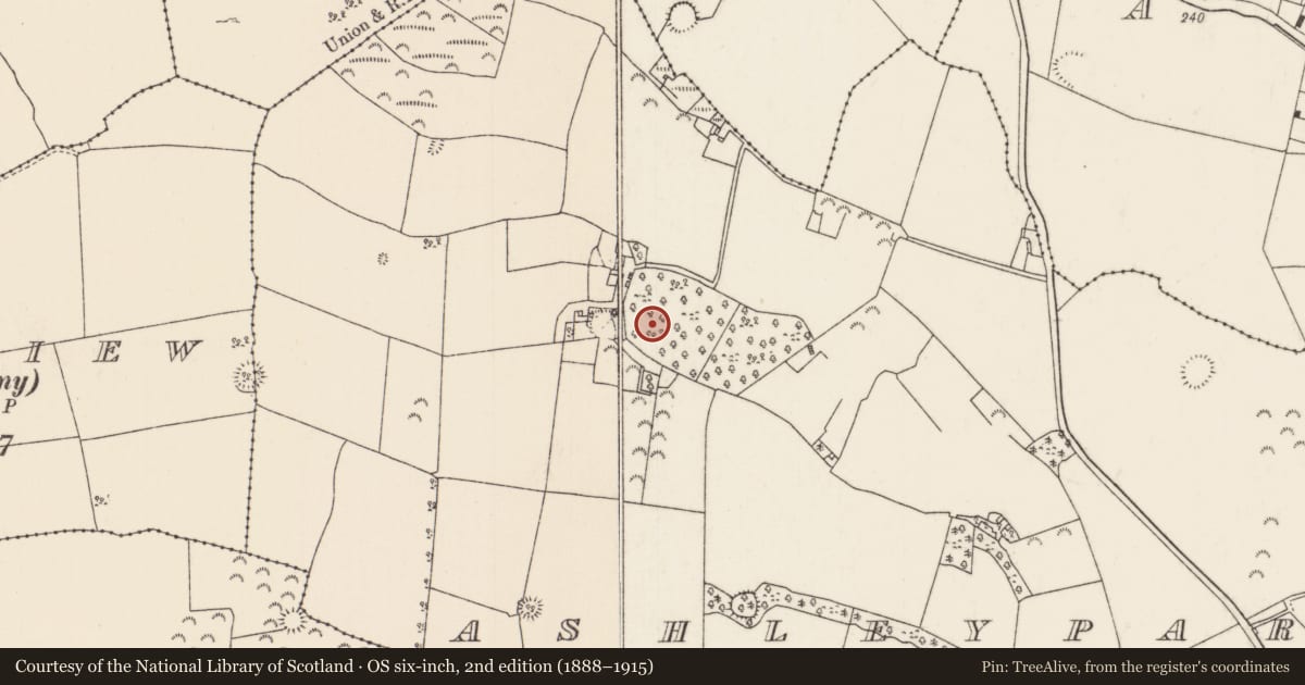 Ordnance Survey six-inch map, 2nd edition (1888–1915) covering the location of Linkardstown burial, Ashleypark (Ardcrony Par.), County Tipperary North, with a pin at the register's coordinates