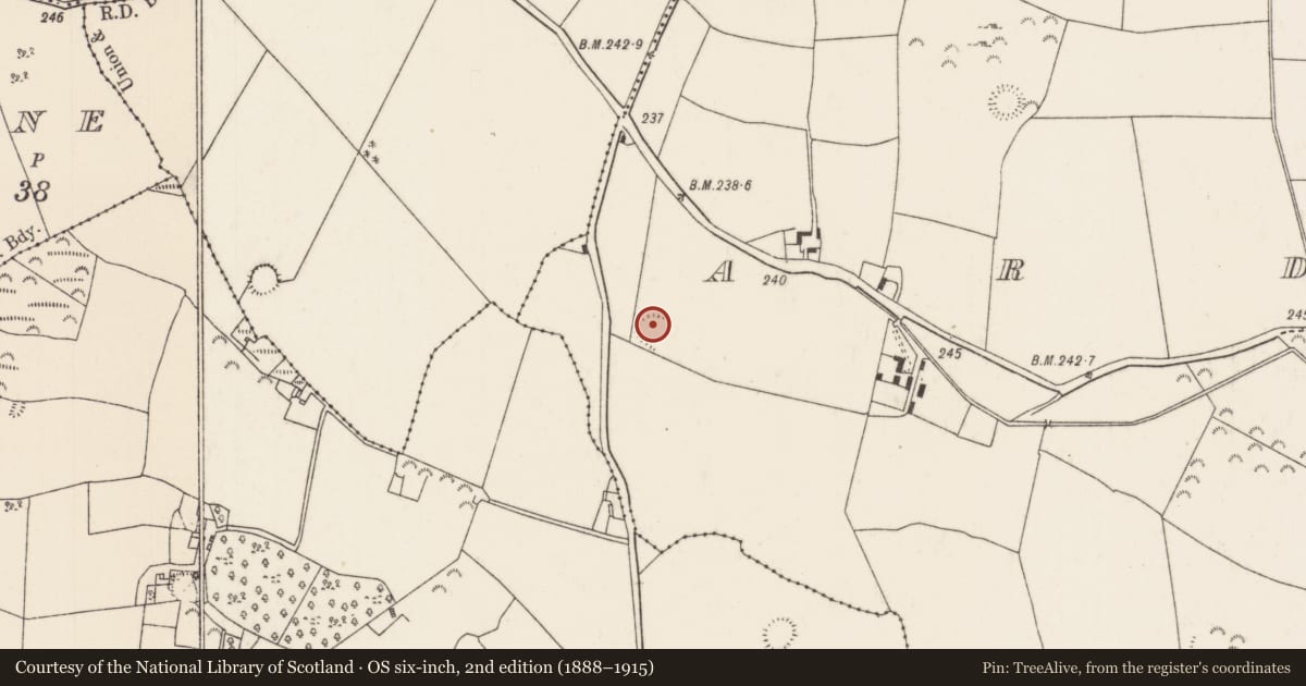 Ordnance Survey six-inch map, 2nd edition (1888–1915) covering the location of Ringfort - rath, Ardcrony, County Tipperary North, with a pin at the register's coordinates