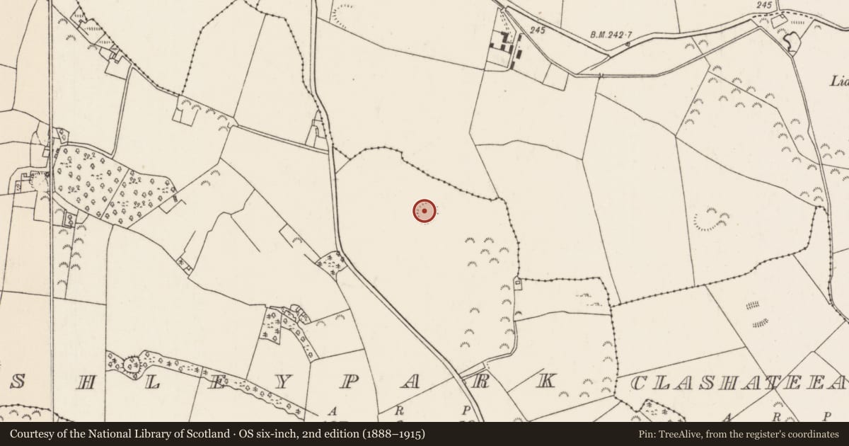 Ordnance Survey six-inch map, 2nd edition (1888–1915) covering the location of Ringfort - rath, Ashleypark (Ardcrony Par.), County Tipperary North, with a pin at the register's coordinates