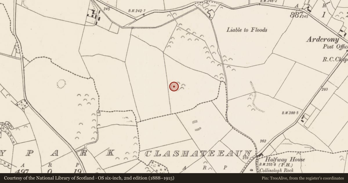 Ordnance Survey six-inch map, 2nd edition (1888–1915) covering the location of Ringfort - rath, Ardcrony, County Tipperary North, with a pin at the register's coordinates
