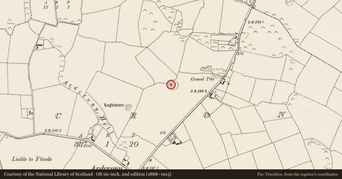 Ordnance Survey six-inch map, 2nd edition (1888–1915) covering the location of Ringfort - rath, Ardcrony, County Tipperary North, with a pin at the register's coordinates
