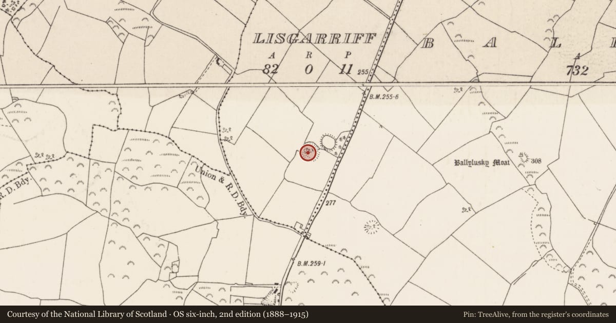 Ordnance Survey six-inch map, 2nd edition (1888–1915) covering the location of Ringfort - rath, Lisgarriff (Ardcrony Par.), County Tipperary North, with a pin at the register's coordinates