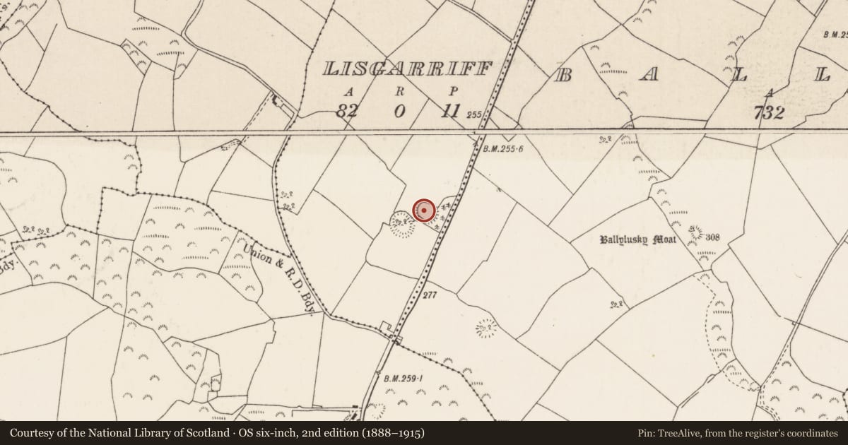Ordnance Survey six-inch map, 2nd edition (1888–1915) covering the location of Ringfort - rath, Lisgarriff (Ardcrony Par.), County Tipperary North, with a pin at the register's coordinates