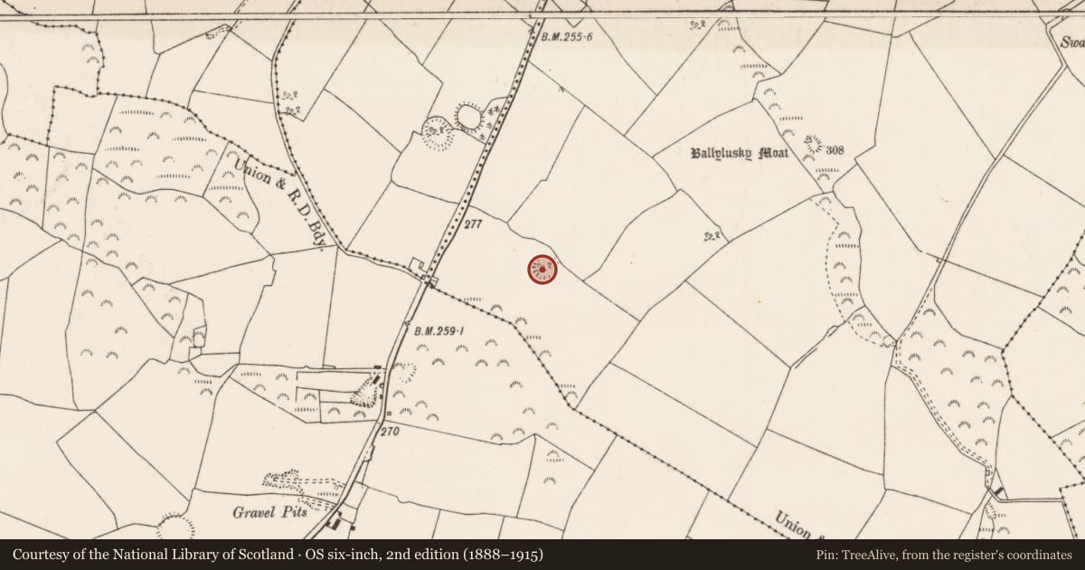 Ordnance Survey six-inch map, 2nd edition (1888–1915) covering the location of Ringfort - rath, Ballylusky (Ardcrony Par.), County Tipperary North, with a pin at the register's coordinates