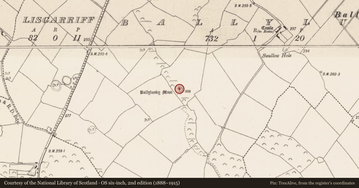 Ordnance Survey six-inch map, 2nd edition (1888–1915) covering the location of Castle - motte, Ballylusky (Ardcrony Par.), County Tipperary North, with a pin at the register's coordinates