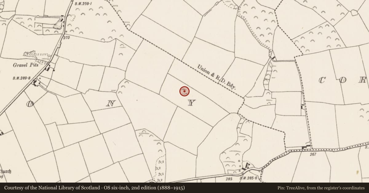 Ordnance Survey six-inch map, 2nd edition (1888–1915) covering the location of Megalithic tomb - portal tomb, Ardcrony, County Tipperary North, with a pin at the register's coordinates