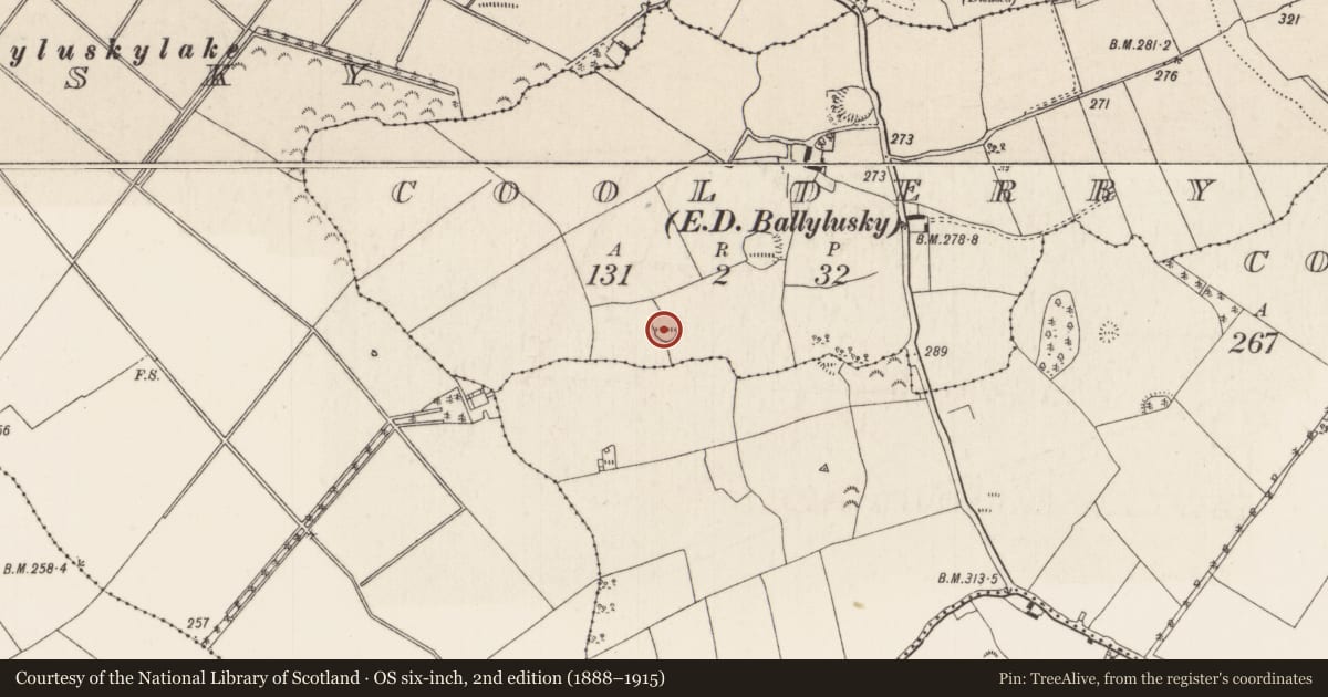 Ordnance Survey six-inch map, 2nd edition (1888–1915) covering the location of Ringfort - cashel, Coolderry (Modreeny Par.), County Tipperary North, with a pin at the register's coordinates