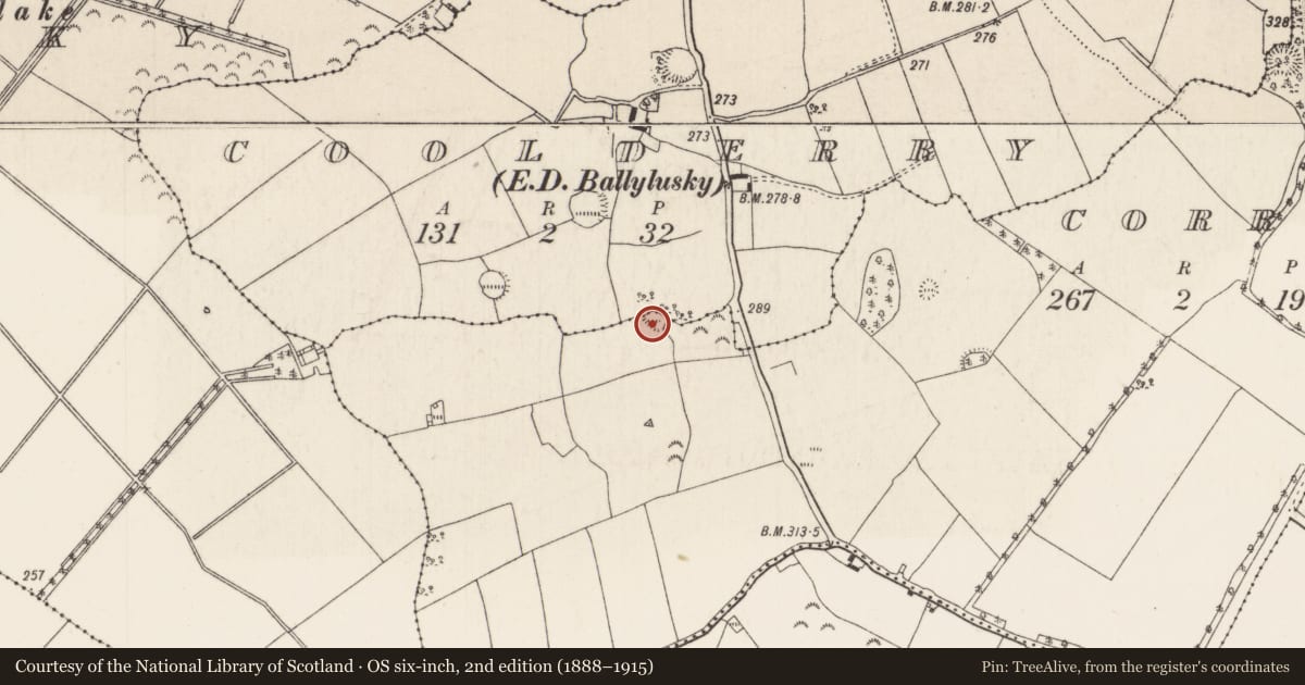 Ordnance Survey six-inch map, 2nd edition (1888–1915) covering the location of Ringfort - cashel, Coolderry (Modreeny Par.), Corrowle, County Tipperary North, with a pin at the register's coordinates