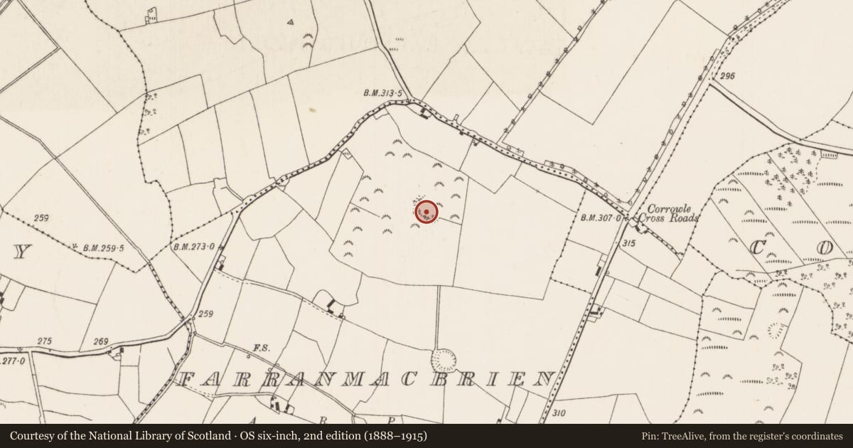 Ordnance Survey six-inch map, 2nd edition (1888–1915) covering the location of Ringfort - rath, Farranmacbrien, County Tipperary North, with a pin at the register's coordinates