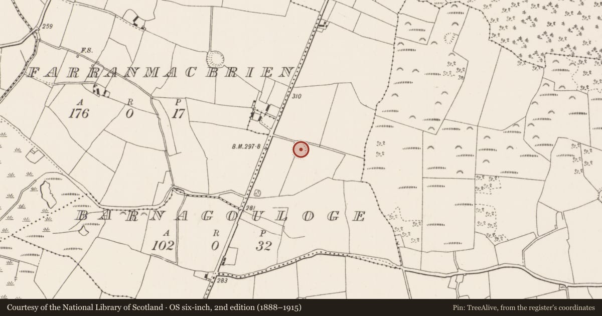 Ordnance Survey six-inch map, 2nd edition (1888–1915) covering the location of Ringfort - rath, Barnagouloge, County Tipperary North, with a pin at the register's coordinates