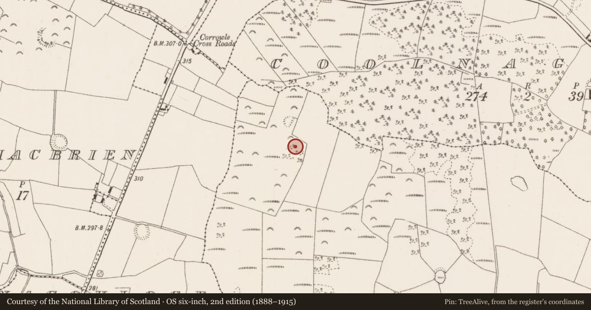 Ordnance Survey six-inch map, 2nd edition (1888–1915) covering the location of Ringfort - rath, Ballycapple, County Tipperary North, with a pin at the register's coordinates