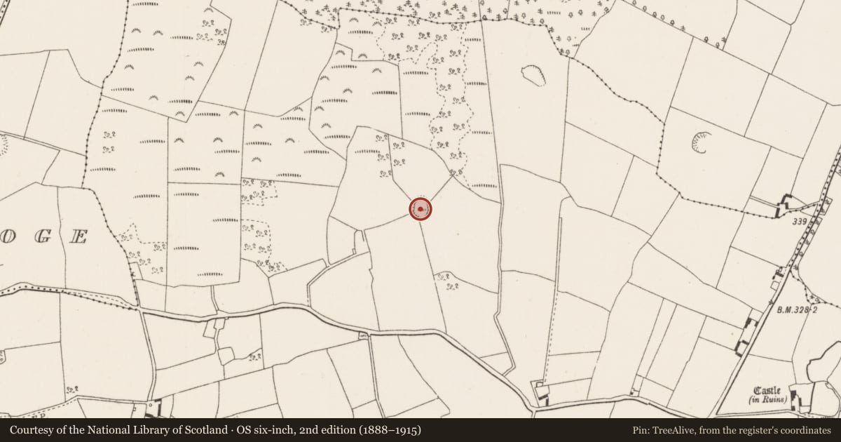 Ordnance Survey six-inch map, 2nd edition (1888–1915) covering the location of Ringfort - rath, Ballycapple, County Tipperary North, with a pin at the register's coordinates
