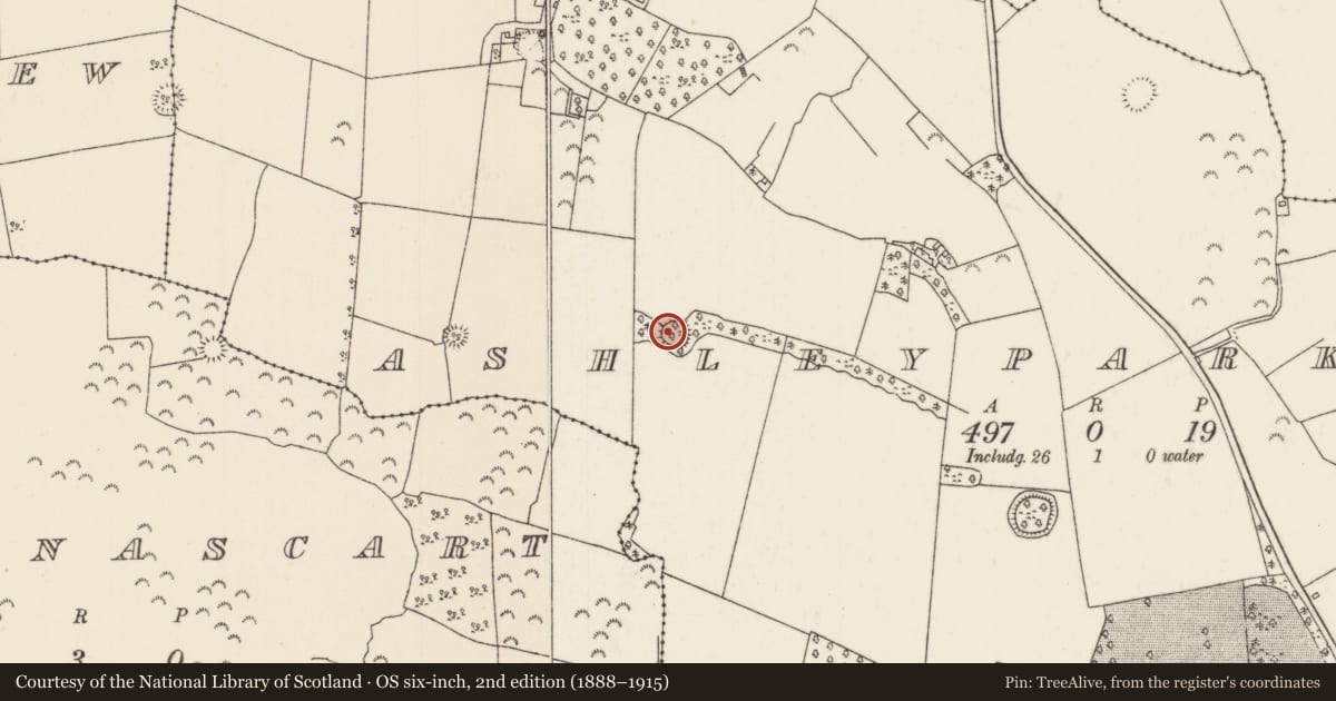 Ordnance Survey six-inch map, 2nd edition (1888–1915) covering the location of Ringfort - rath, Ashleypark (Ardcrony Par.), County Tipperary North, with a pin at the register's coordinates