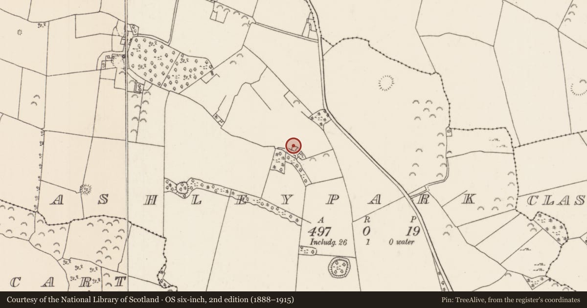 Ordnance Survey six-inch map, 2nd edition (1888–1915) covering the location of Megalithic structure, Ashleypark (Ardcrony Par.), County Tipperary North, with a pin at the register's coordinates