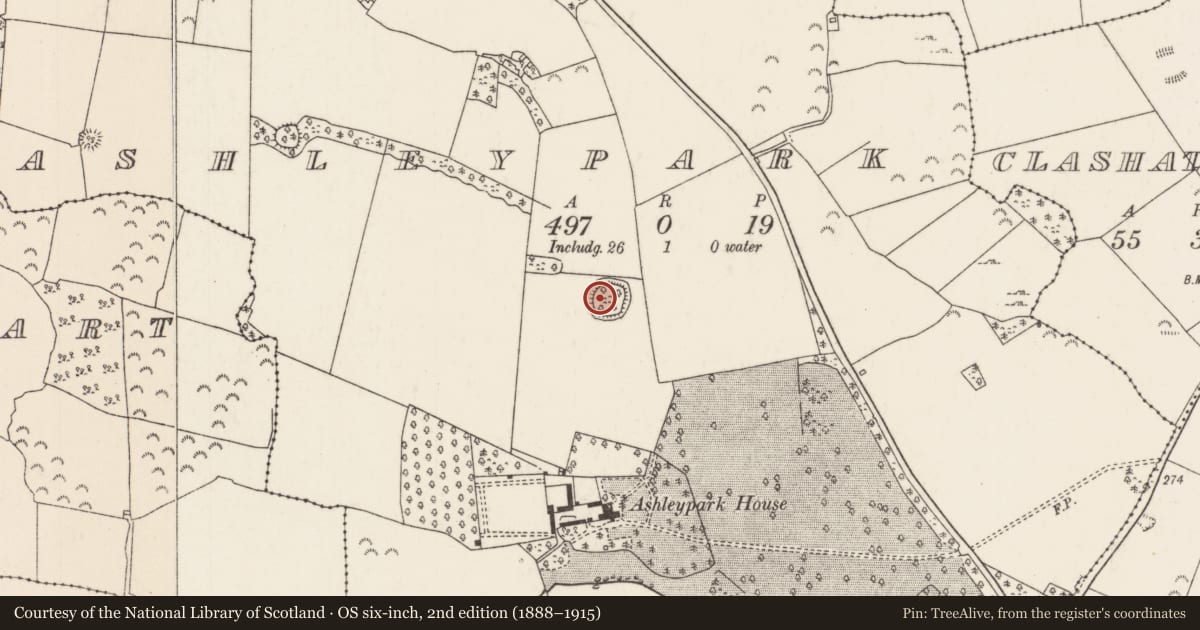 Ordnance Survey six-inch map, 2nd edition (1888–1915) covering the location of Ringfort - rath, Ashleypark (Ardcrony Par.), County Tipperary North, with a pin at the register's coordinates