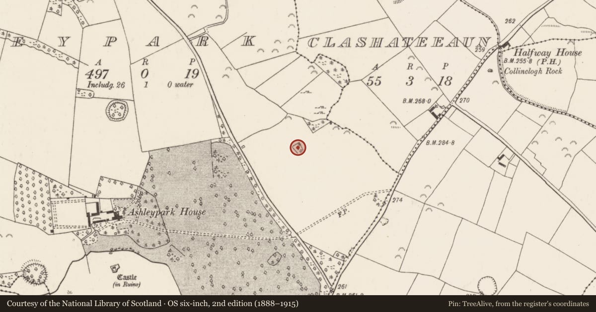 Ordnance Survey six-inch map, 2nd edition (1888–1915) covering the location of Moated site, Ashleypark (Ardcrony Par.), County Tipperary North, with a pin at the register's coordinates