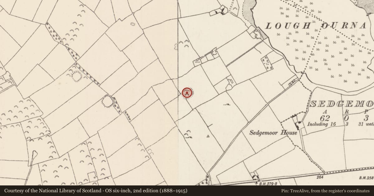 Ordnance Survey six-inch map, 2nd edition (1888–1915) covering the location of Enclosure, Loughourna, County Tipperary North, with a pin at the register's coordinates