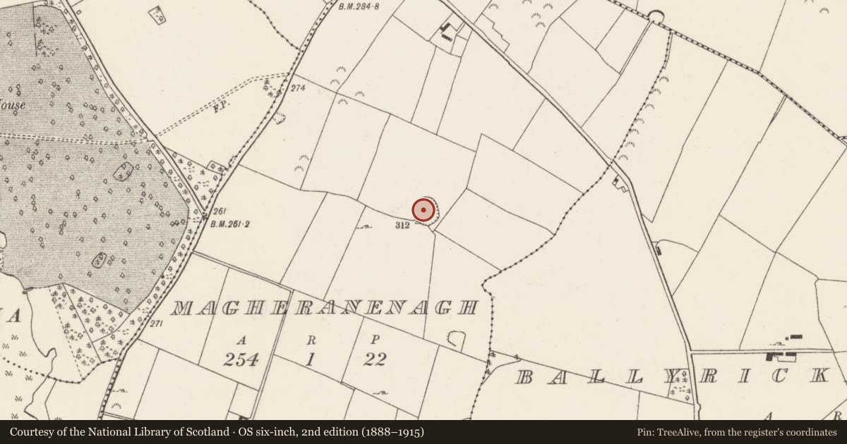 Ordnance Survey six-inch map, 2nd edition (1888–1915) covering the location of Ringfort - rath, Magheranenagh, County Tipperary North, with a pin at the register's coordinates