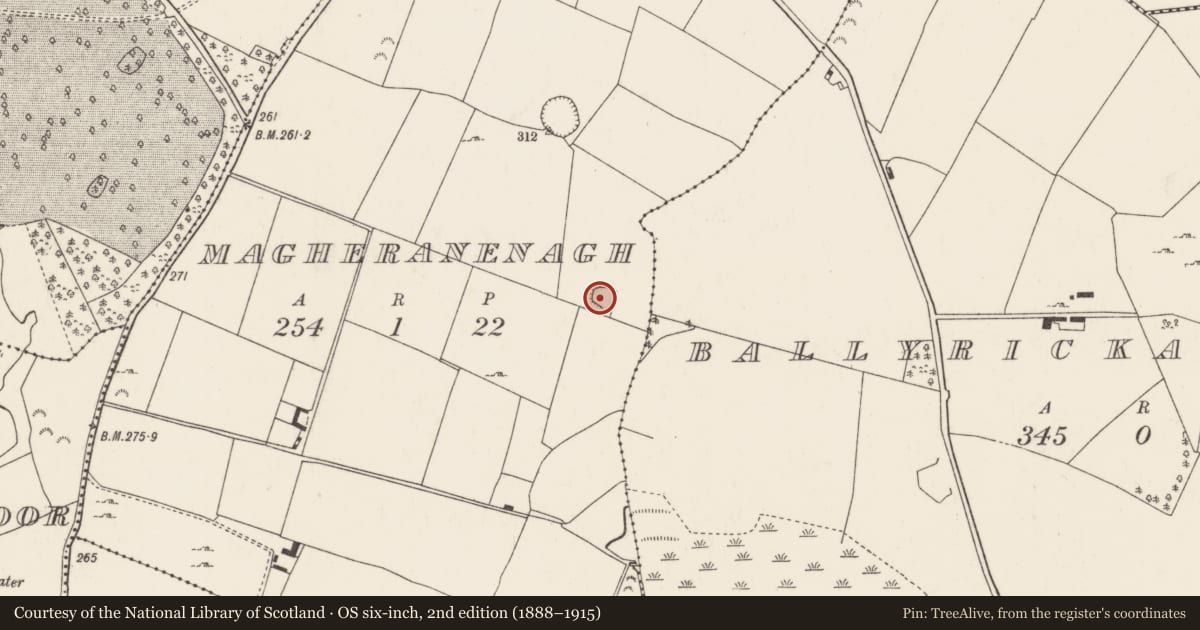 Ordnance Survey six-inch map, 2nd edition (1888–1915) covering the location of Enclosure, Magheranenagh, County Tipperary North, with a pin at the register's coordinates