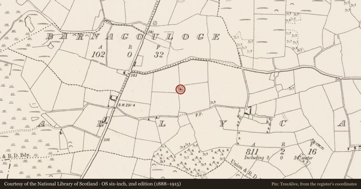 Ordnance Survey six-inch map, 2nd edition (1888–1915) covering the location of Ringfort - rath, Ballycapple, County Tipperary North, with a pin at the register's coordinates