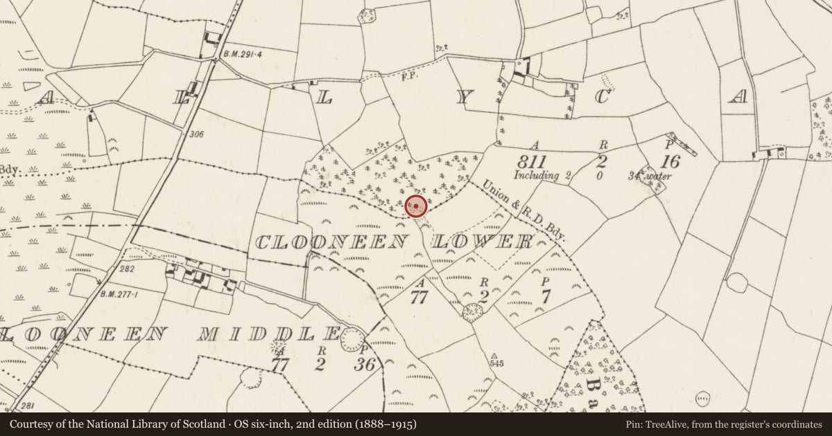 Ordnance Survey six-inch map, 2nd edition (1888–1915) covering the location of Ringfort - rath, Ballycapple, Clooneen Lower, County Tipperary North, with a pin at the register's coordinates