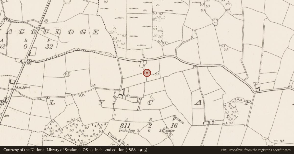 Ordnance Survey six-inch map, 2nd edition (1888–1915) covering the location of Enclosure, Ballycapple, County Tipperary North, with a pin at the register's coordinates