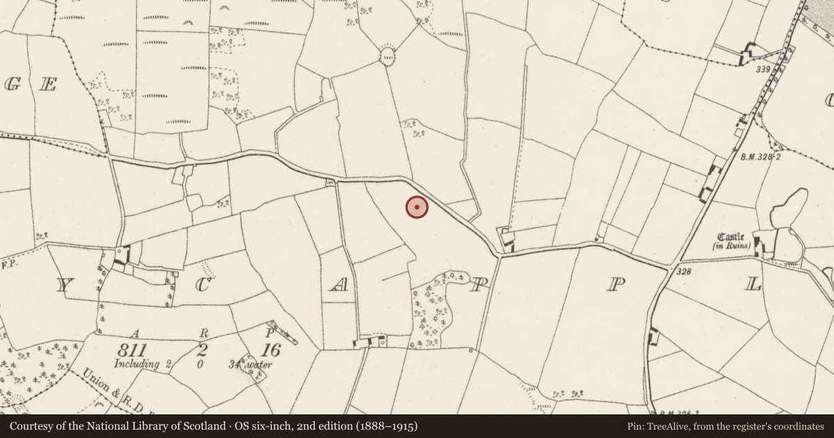 Ordnance Survey six-inch map, 2nd edition (1888–1915) covering the location of Enclosure, Ballycapple, County Tipperary North, with a pin at the register's coordinates