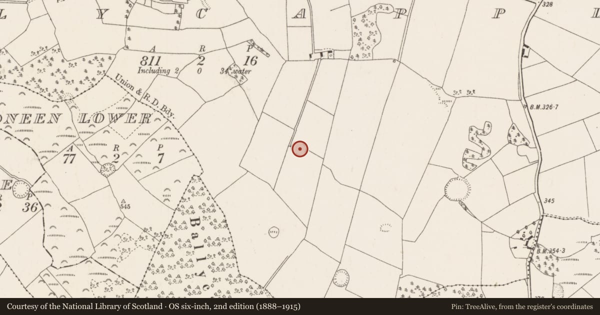 Ordnance Survey six-inch map, 2nd edition (1888–1915) covering the location of Ringfort - rath, Ballycapple, County Tipperary North, with a pin at the register's coordinates