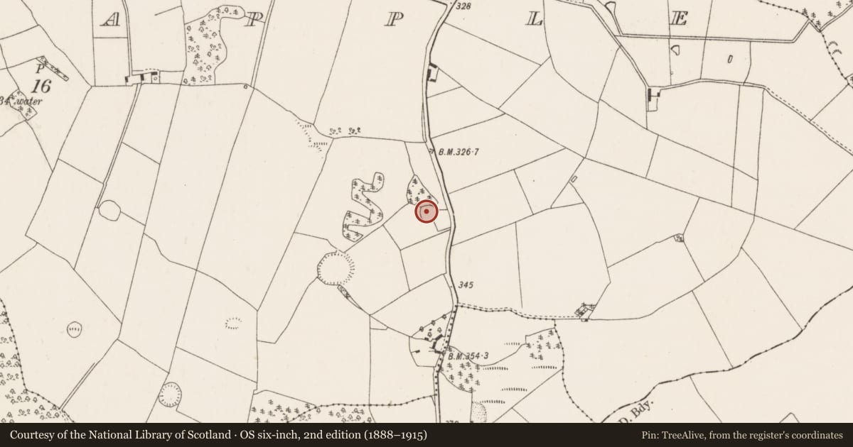 Ordnance Survey six-inch map, 2nd edition (1888–1915) covering the location of Ringfort - rath, Ballycapple, County Tipperary North, with a pin at the register's coordinates