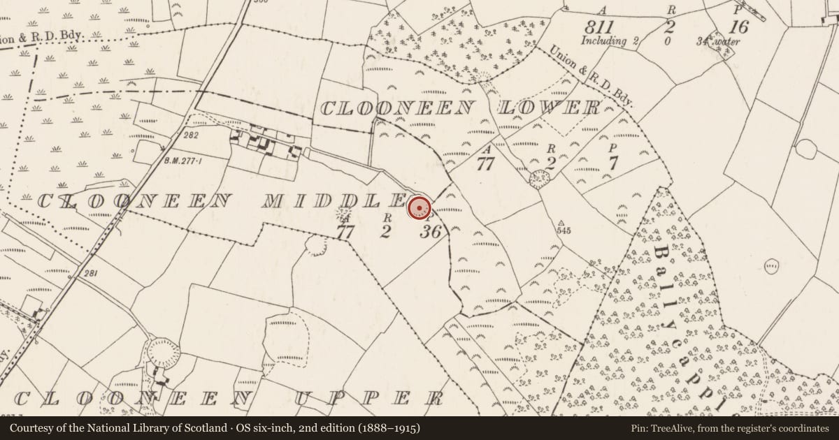 Ordnance Survey six-inch map, 2nd edition (1888–1915) covering the location of Ringfort - rath, Clooneen Middle, County Tipperary North, with a pin at the register's coordinates