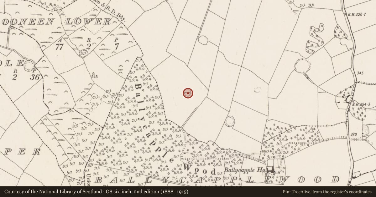Ordnance Survey six-inch map, 2nd edition (1888–1915) covering the location of Ringfort - rath, Ballycapple, County Tipperary North, with a pin at the register's coordinates