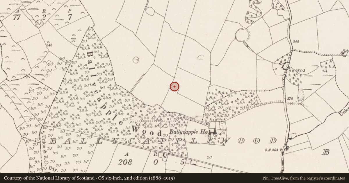 Ordnance Survey six-inch map, 2nd edition (1888–1915) covering the location of Ringfort - rath, Ballycapple, County Tipperary North, with a pin at the register's coordinates