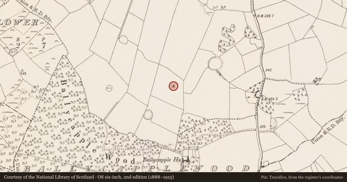 Ordnance Survey six-inch map, 2nd edition (1888–1915) covering the location of Enclosure, Ballycapple, County Tipperary North, with a pin at the register's coordinates