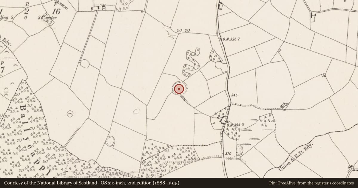 Ordnance Survey six-inch map, 2nd edition (1888–1915) covering the location of Ringfort - rath, Ballycapple, County Tipperary North, with a pin at the register's coordinates