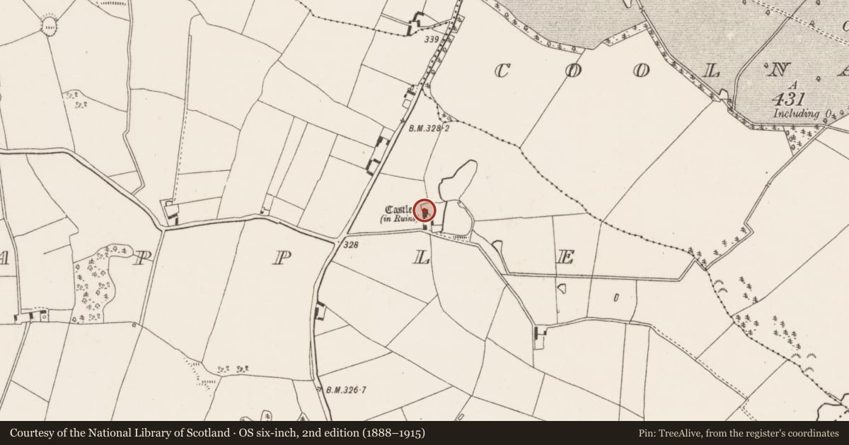 Ordnance Survey six-inch map, 2nd edition (1888–1915) covering the location of Castle - hall-house, Ballycapple, County Tipperary North, with a pin at the register's coordinates