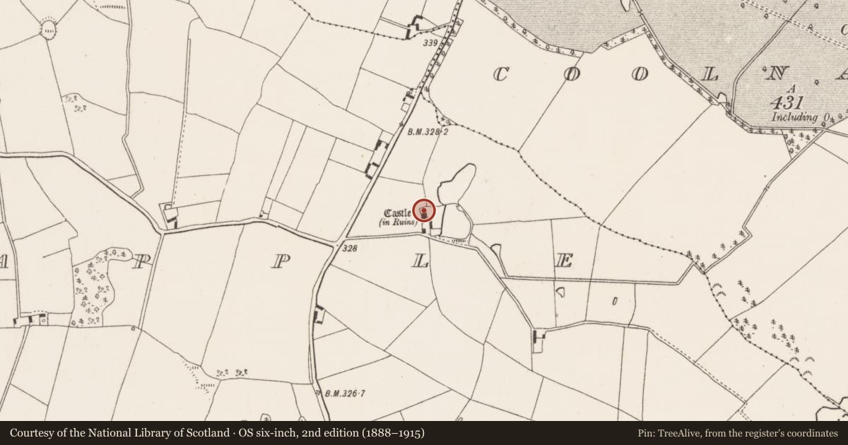 Ordnance Survey six-inch map, 2nd edition (1888–1915) covering the location of Bawn, Ballycapple, County Tipperary North, with a pin at the register's coordinates