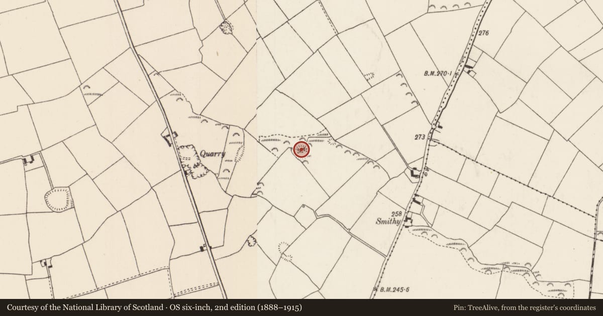 Ordnance Survey six-inch map, 2nd edition (1888–1915) covering the location of Ringfort - rath, Loughourna, County Tipperary North, with a pin at the register's coordinates