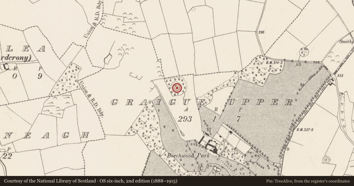 Ordnance Survey six-inch map, 2nd edition (1888–1915) covering the location of Barrow - bowl-barrow, Graigue Upper (Ardcrony Par.), County Tipperary North, with a pin at the register's coordinates
